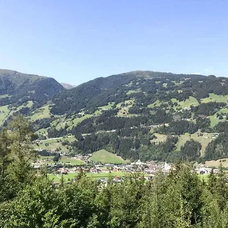 In - Tirol 42414 *
